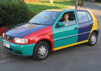 polo_harlekin.jpg