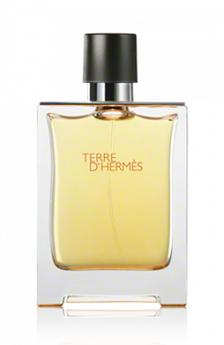 hermes-terre-dhermes-parfum-vapo-200ml.png