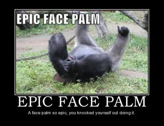 epic-face-palm-face-paxe3w.jpg