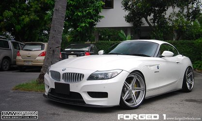 z4e8920zoll.jpg
