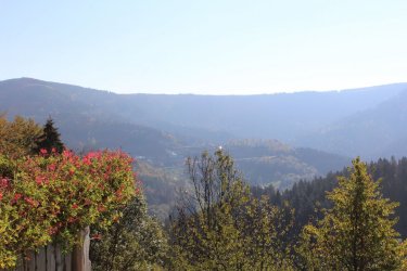IMG_4966.JPG