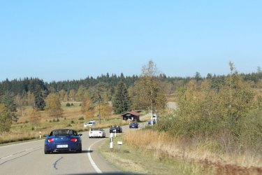 IMG_4992.JPG