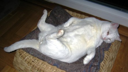 sansibar-relaxed.jpg