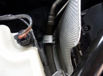 P1000783 (800x589).jpg