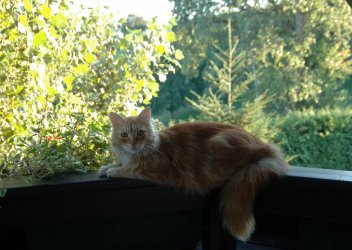 DSC_00081.JPG