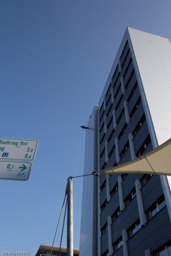 20111022-IMG_6459.jpg