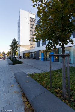 20111022-IMG_6460.jpg