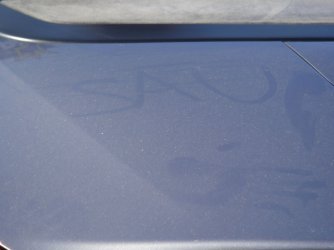 noch ein Waschverweigerer.jpg