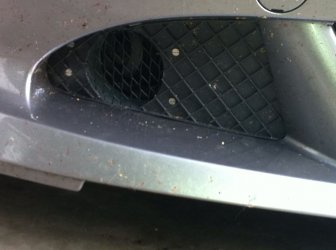 BB Front.jpg
