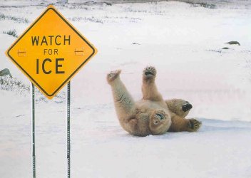 even the locals have to read the signs.jpg