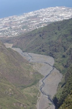 IMG_1453.jpg