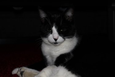 IMG_0047.JPG