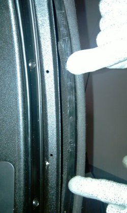 IMAG0593.jpg