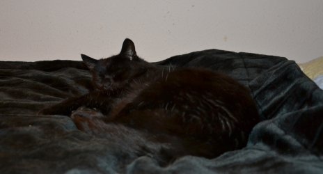 DSC_0056.JPG