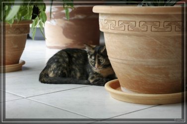 ImageUploadedByTapatalk1324288494.800835.jpg