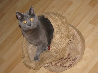 IMG_4595_konp.jpg