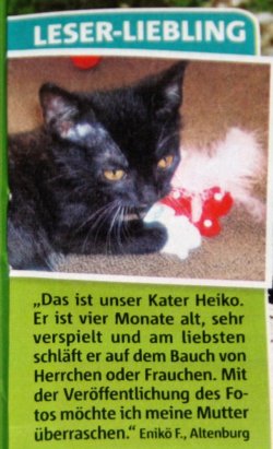 IMG_3759 - Kopie.JPG