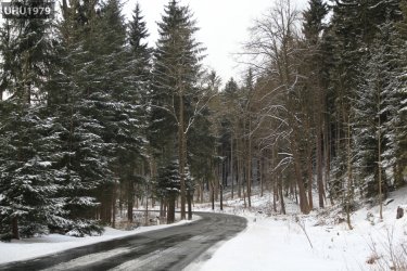 IMG_1771.JPG