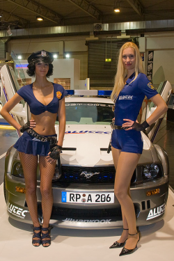 2008MS.png