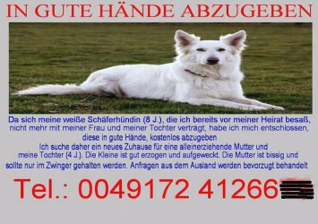 Hund.jpg