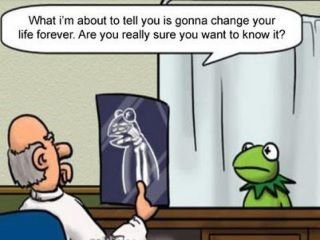Kermit.jpg