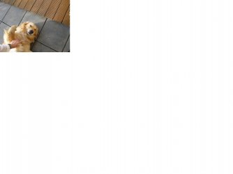 VLN Lauf Nr3 Mai 2011 009 klein.jpg