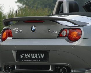 Hamann_03.jpg Hamann_03.jpg