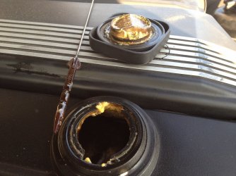 IMG_1991.JPG IMG_1991.JPG