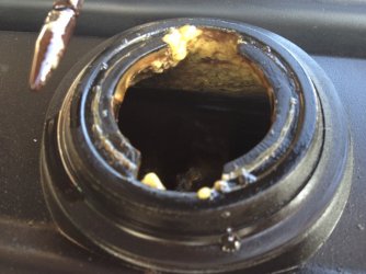 IMG_1992.JPG IMG_1992.JPG