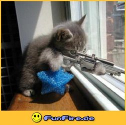 funfire-de-1099414800-17.jpg