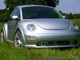 beetle03.jpg