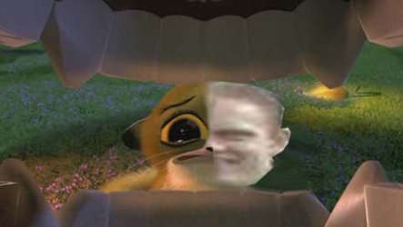 heul3 Kopie.jpg