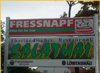 hai.jpg
