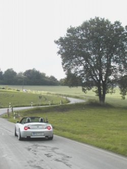 b1.jpg