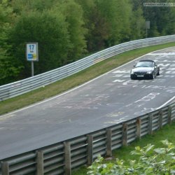 plflanzgarten.JPG