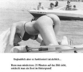 suchspiel.jpg