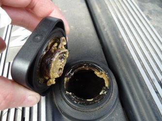 DSC01309.JPG DSC01309.JPG