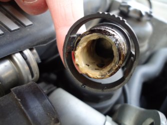 DSC01312.JPG DSC01312.JPG