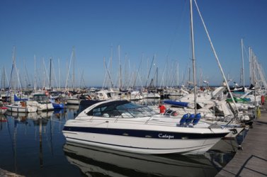 DSC_0748.JPG DSC_0748.JPG