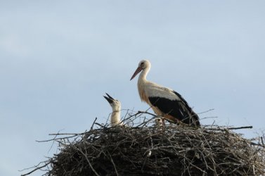 DSC_0792.JPG DSC_0792.JPG