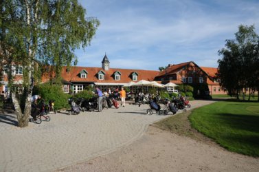 DSC_0803.JPG DSC_0803.JPG