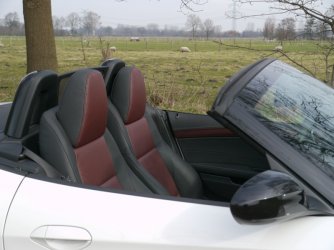 Z41203 05.JPG