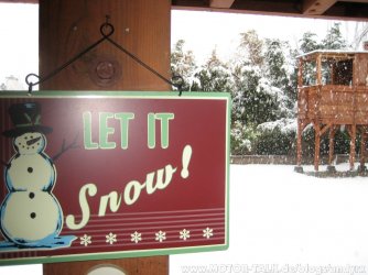backyard-afternoon-let-it-snow-33356.jpg