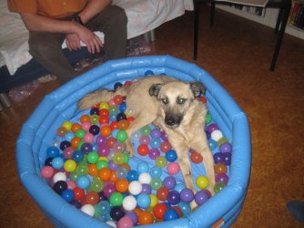 IMG_0596.jpg IMG_0596.jpg