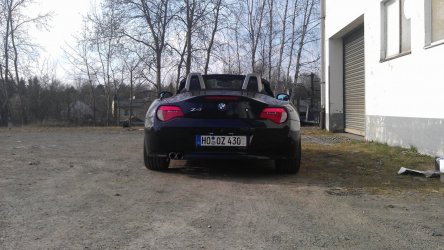 zetti (3).jpg
