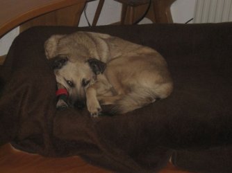 IMG_0510.jpg IMG_0510.jpg