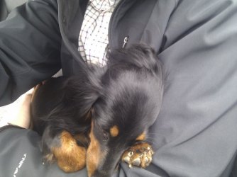 IMG_20120407_125834 klein.jpg