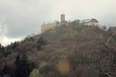IMG_7030.JPG