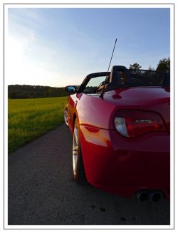 P1020433.jpeg P1020433.jpeg