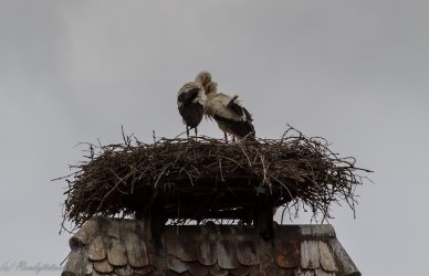 20120518-IMG_2021.jpg